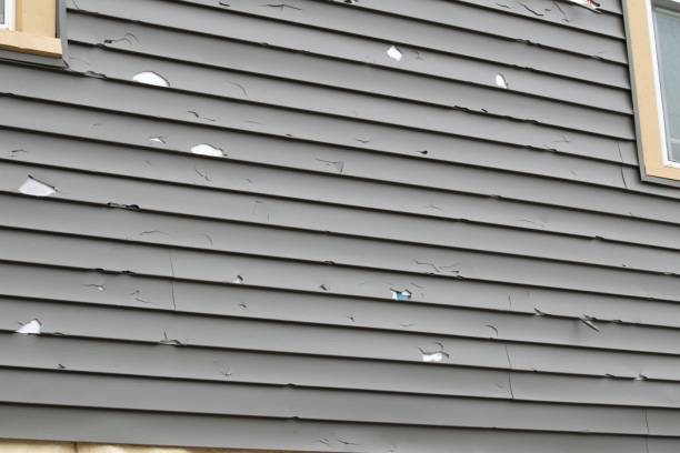 Best Siding for New Construction  in Jasper, GA