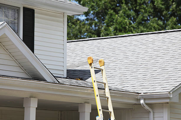 Best Insulated Siding Installation  in Jasper, GA